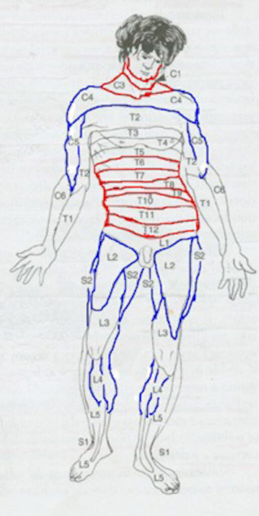 psicoterapia tecnica